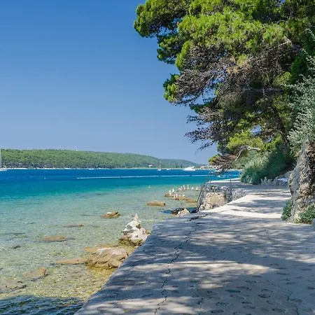 Palit Ap Family & Pet Friendly In Rab